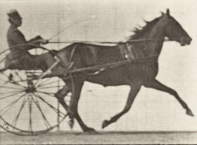 Plate 609 'Lizzie M.' trotting, harnessed to sulky — figure reference